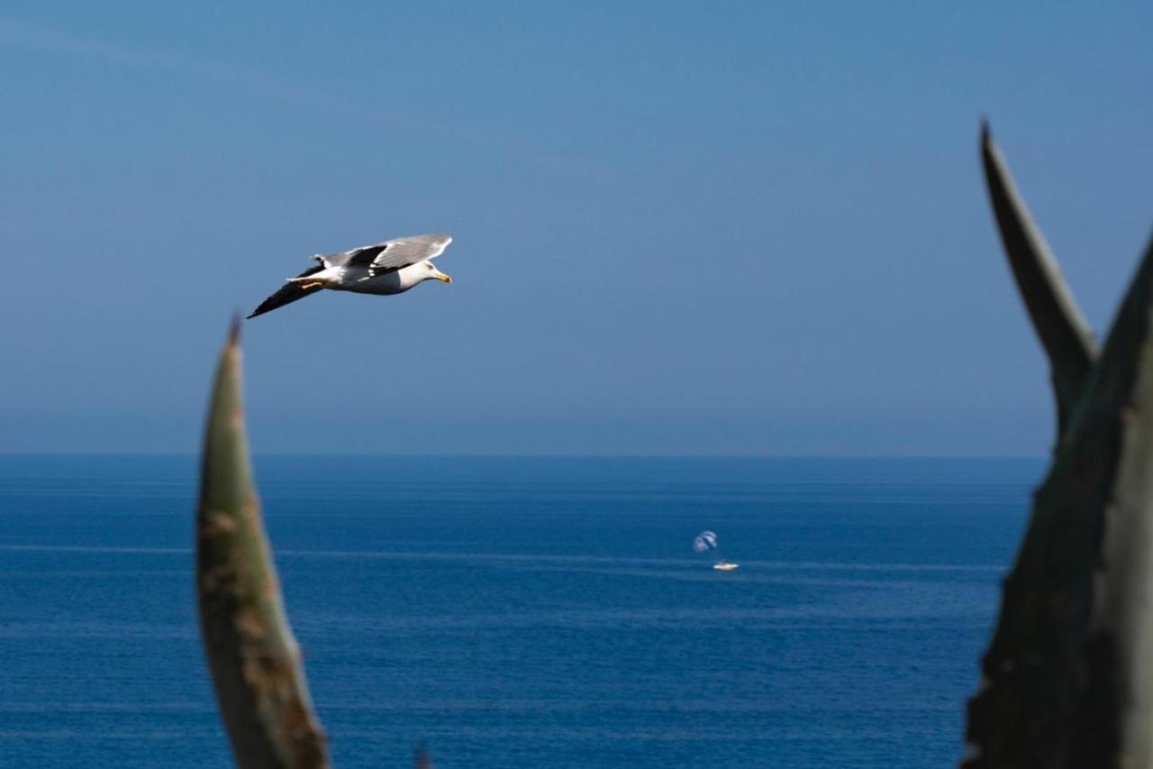 Il Poggio Di Tropea Hotell Parghelia Eksteriør bilde